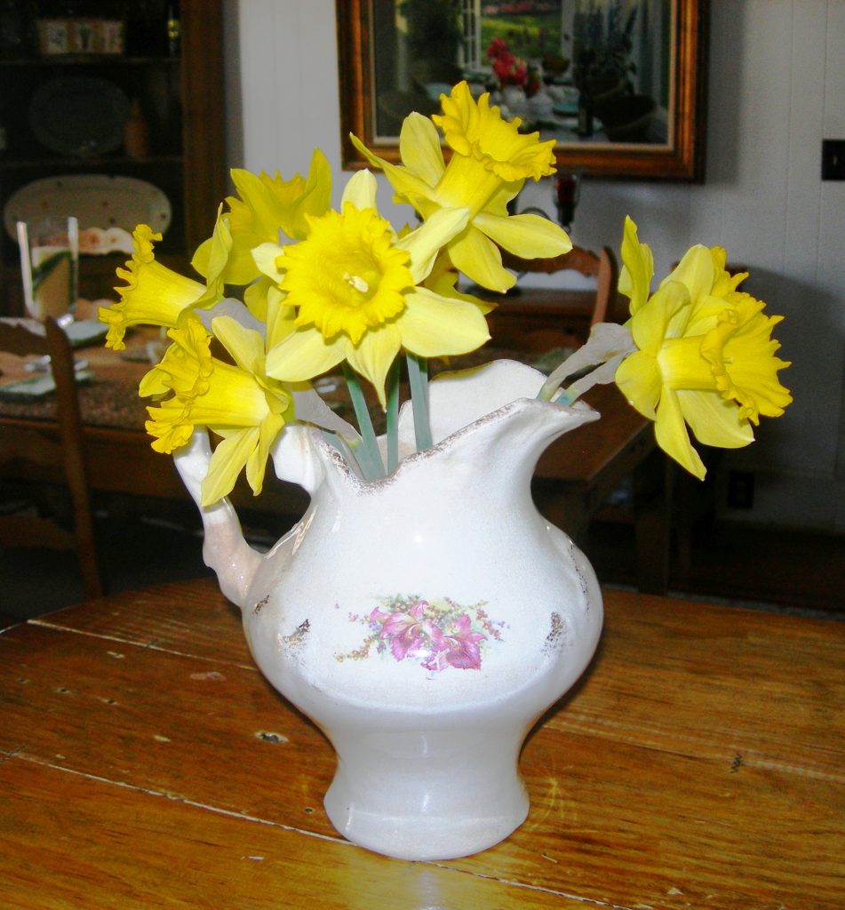 Daffodils 2011 002