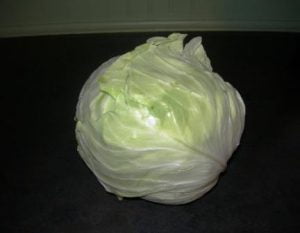 Braised cabbage 0011