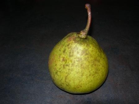 Pear chutney 016