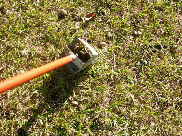 Pecan shelling 006