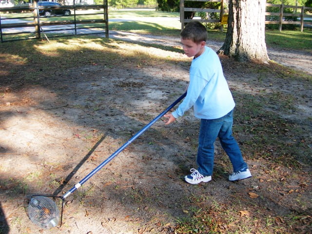 Pecan shelling 021