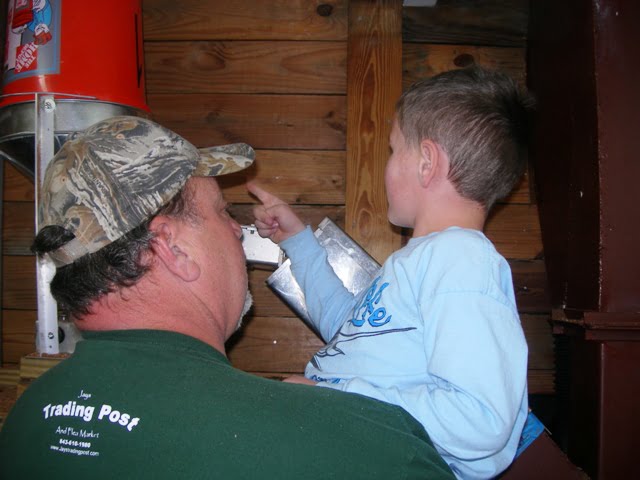 Pecan shelling 028