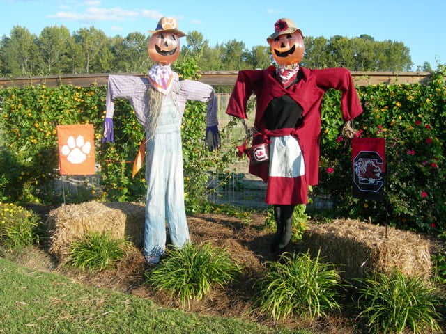 Scarecrows 006