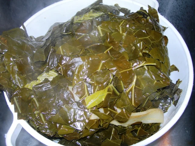 Collard Greens 008 Collard greens 008