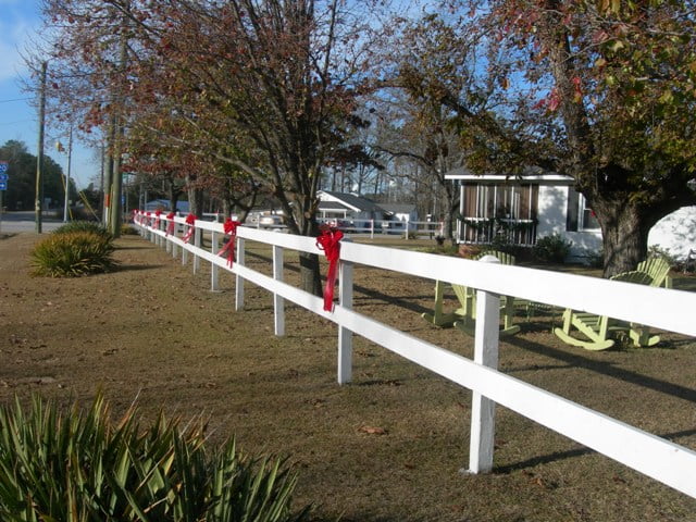 Red bows on fence 006
