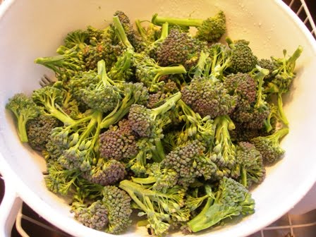 Broccoli casserole 003