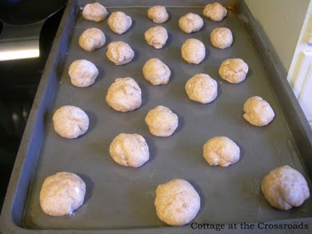 Whole wheat rolls 039