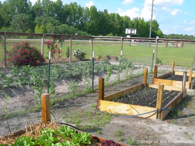 Yellow frames and the garden 025