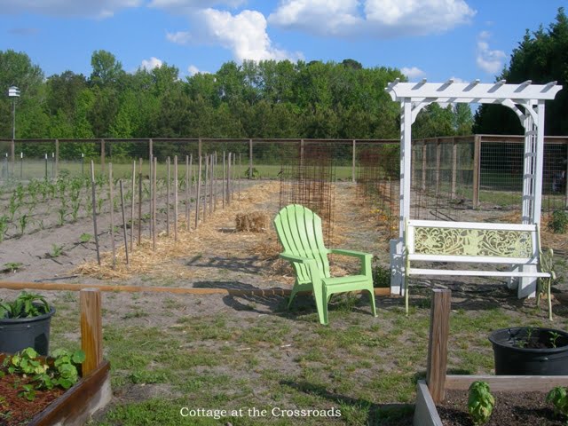 Yellow frames and the garden 034