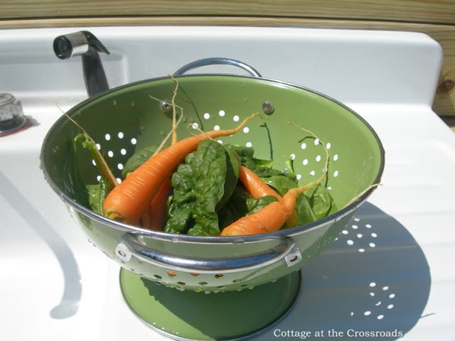 Sink in the garden 016