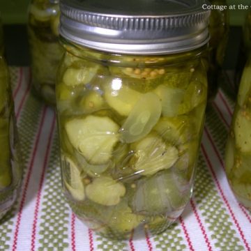 Bread and butter pickles