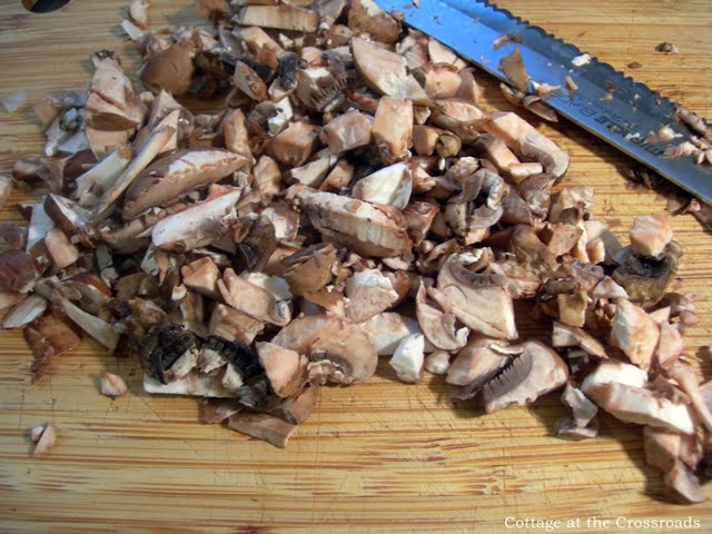 Mushroom puffs 022