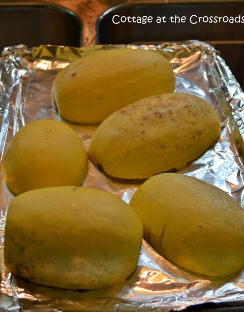 Spaghetti squash