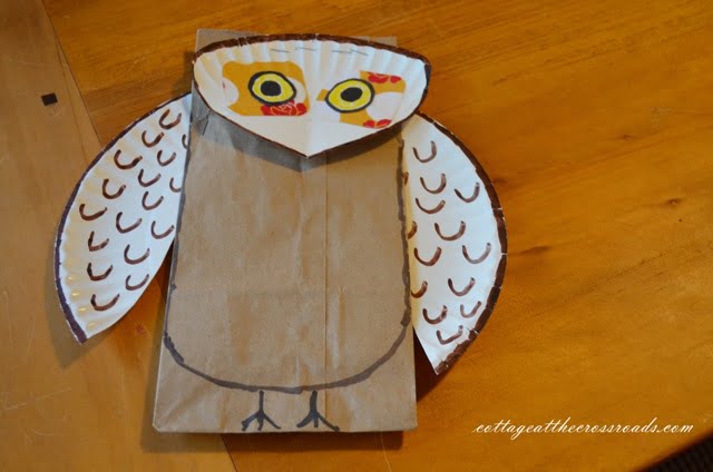 Owl with wings and head attached