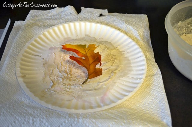 Paper plate for brushing plaster on leaf