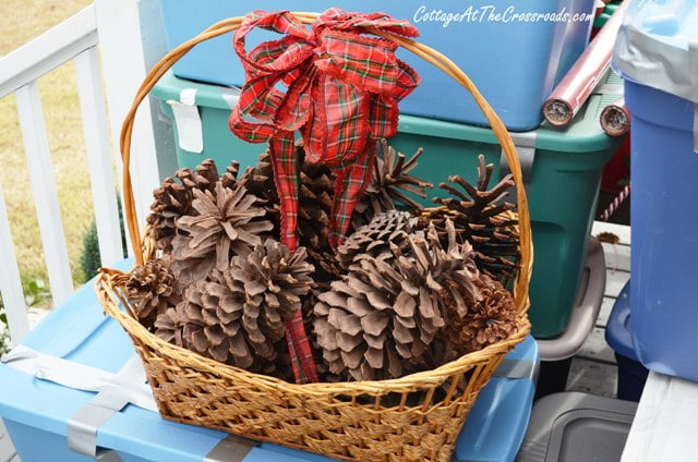 Basket of large pine cones