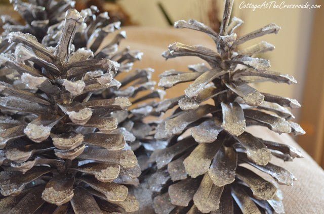 Glitter and epsom salt added to pine cones