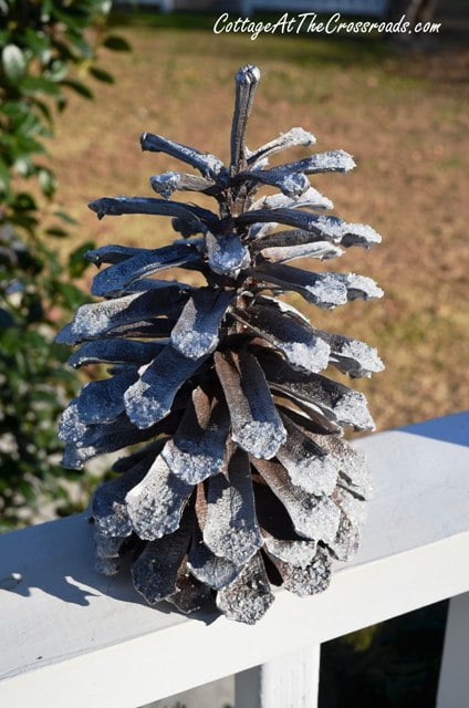 Decorated pine cones