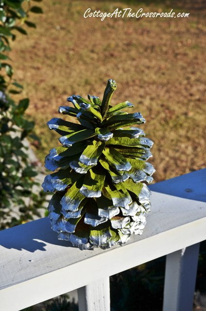 Green pine cones