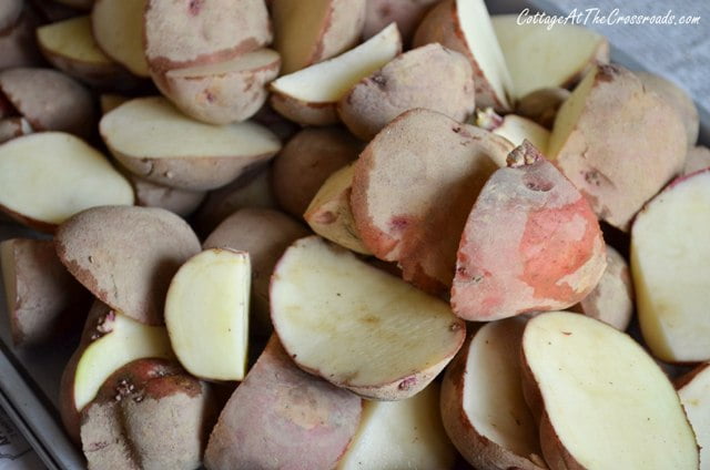 Planting potatoes 006