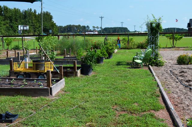 Raised beds