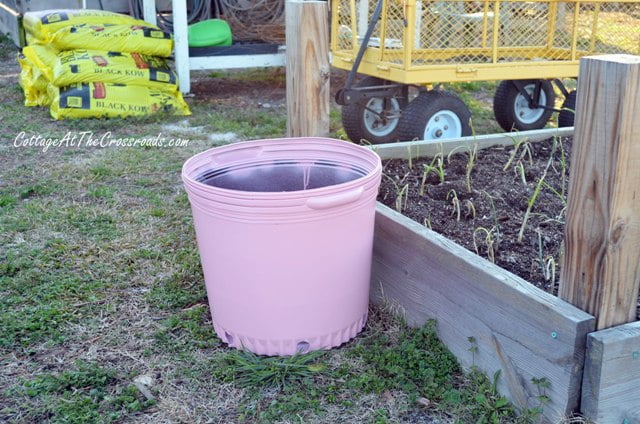 Painted pots in the garden