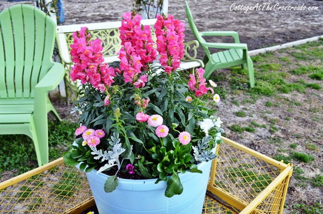 Spring flowers in painted pot