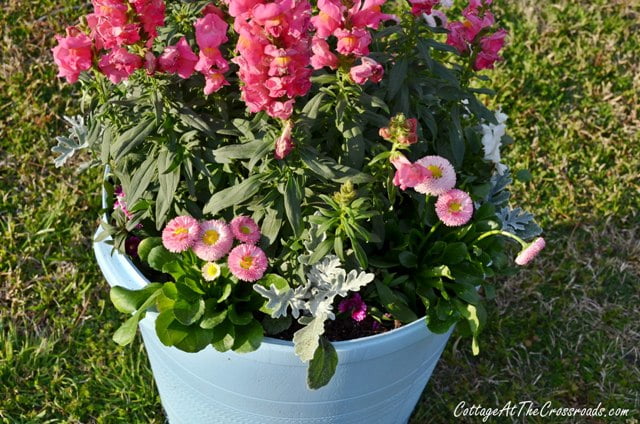 Spring flowers in painted pot