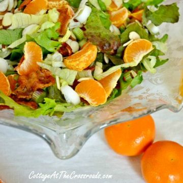 Mandarin orange salad 0941