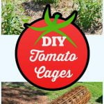 Graphic with text diy tomato cages