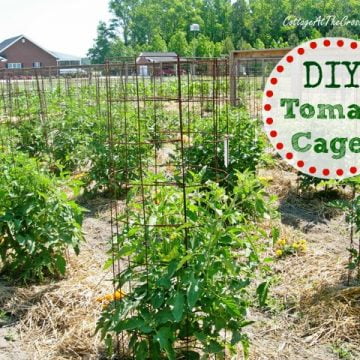 Diy tomato cages from cottage at the crossroads
