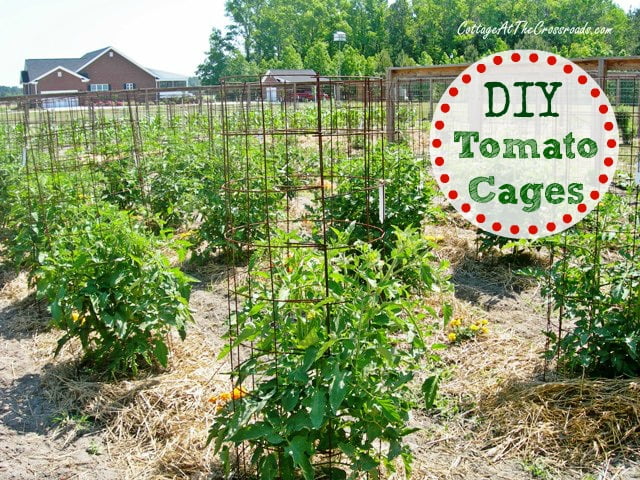 DIY Tomato Cages from Cottage at the Crossroads