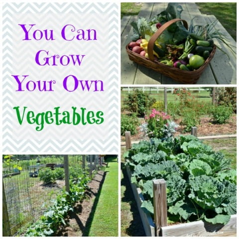 You can grow your own vegetables