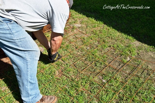 Diy tomato cages