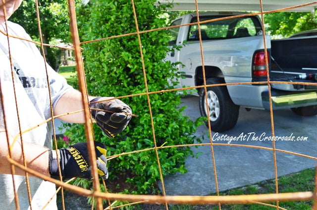 Diy tomato cages