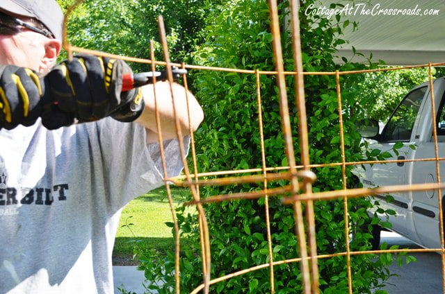 Diy tomato cages