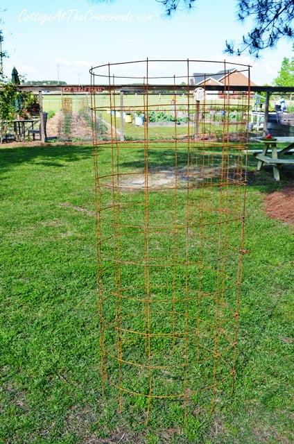 Diy tomato cages