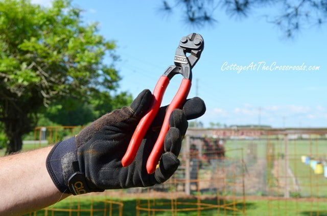 Diy tomato cages