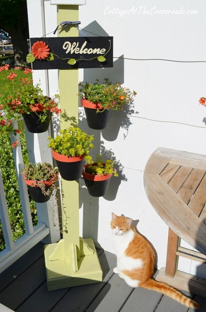 Pot holder plant stand