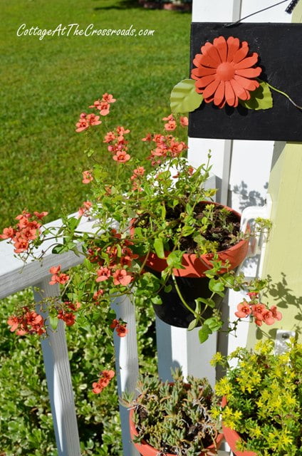 Pot holder plant stand