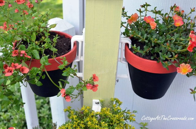 Pots attached with terralatch pot holders