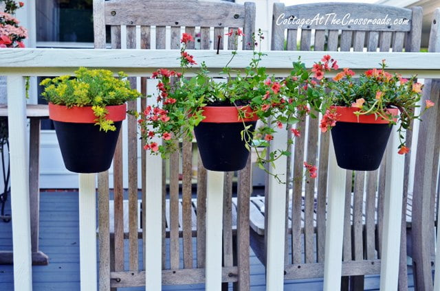 Pots on deck railing attached with terralatch pot holder