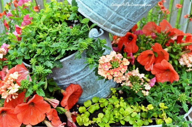 Topsy turvy galvanized buckets