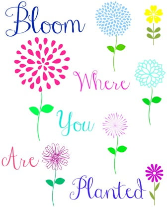 Bloom where you are planted