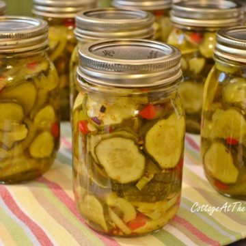Zesty bread and butter pickles
