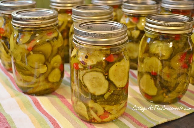 Zesty bread 'n butter pickles