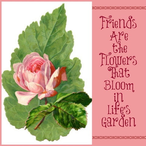 Friends are the flowers