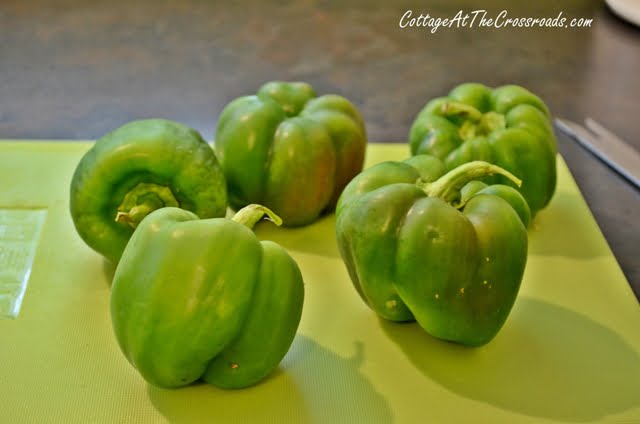 Four perfect green peppers fresh from my garden.