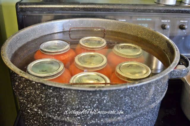 21 quart canner with jar rack and my homemade canned spaghetti sauce in 1 quart jars.