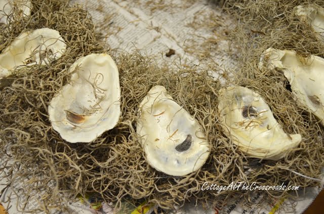 Oyster shell mantel display